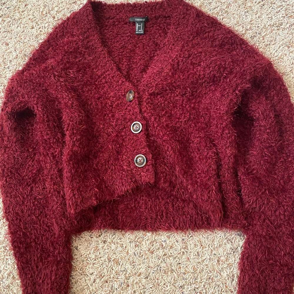 Forever 21 Maroon Cropped Fuzzy Sweater